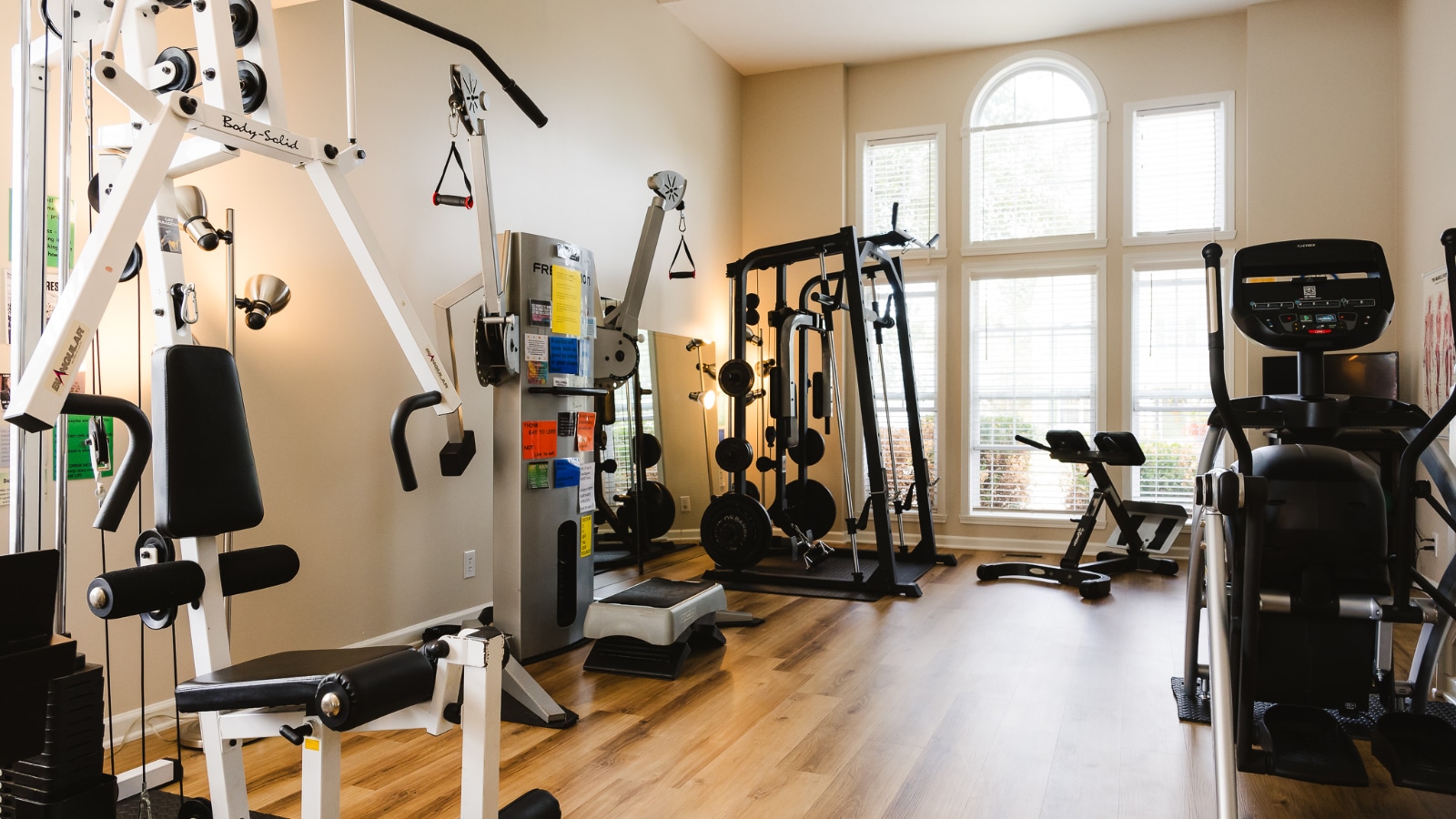 Full Body Fitness Gym Photo